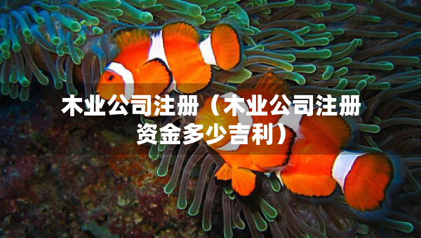 木業(yè)公司注冊（木業(yè)公司注冊資金多少吉利）