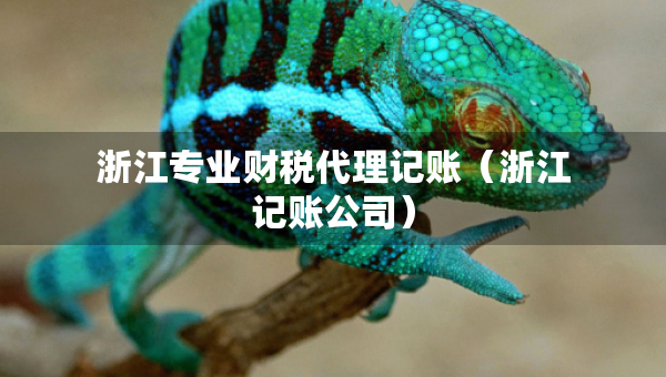 浙江專業(yè)財(cái)稅代理記賬（浙江記賬公司）