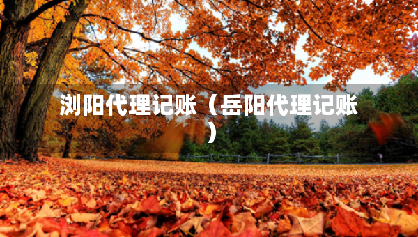 瀏陽代理記賬（岳陽代理記賬）