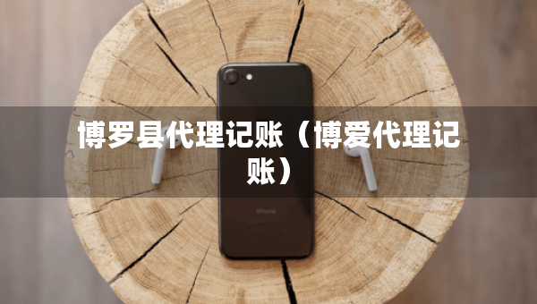 博羅縣代理記賬（博愛代理記賬）