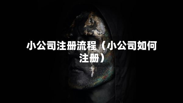 小公司注冊(cè)流程（小公司如何注冊(cè)）