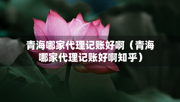 青海哪家代理記賬好?。ㄇ嗪Ｄ募掖碛涃~好啊知乎）