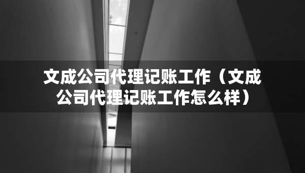 文成公司代理記賬工作（文成公司代理記賬工作怎么樣）