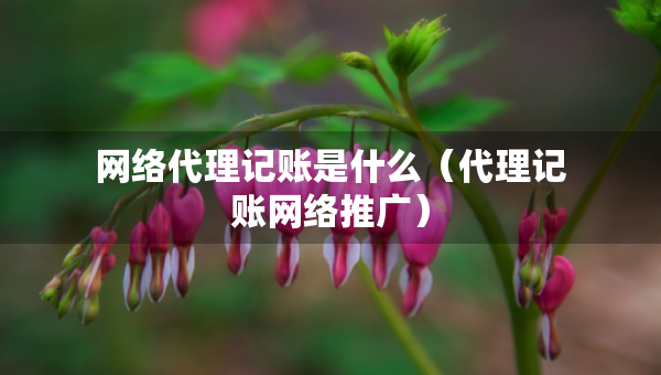 網(wǎng)絡(luò)代理記賬是什么（代理記賬網(wǎng)絡(luò)推廣）
