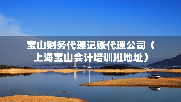 寶山財(cái)務(wù)代理記賬代理公司（上海寶山會(huì)計(jì)培訓(xùn)班地址）