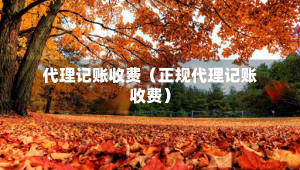 代理記賬收費（正規(guī)代理記賬收費）