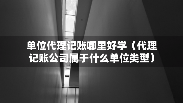 單位代理記賬哪里好學(xué)（代理記賬公司屬于什么單位類型）