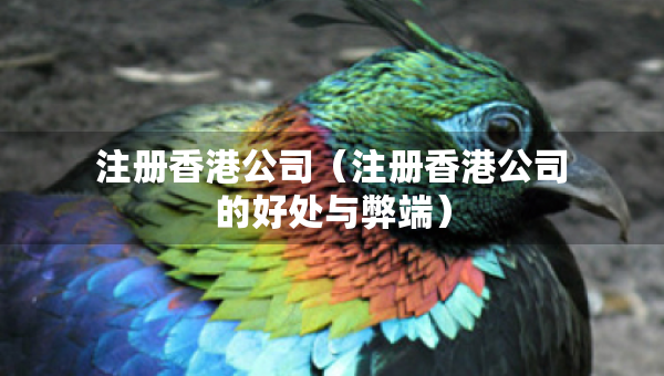 注冊香港公司（注冊香港公司的好處與弊端）