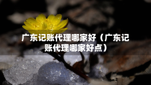 廣東記賬代理哪家好（廣東記賬代理哪家好點(diǎn)）