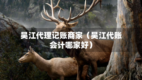 吳江代理記賬商家（吳江代賬會(huì)計(jì)哪家好）