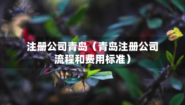 注冊公司青島（青島注冊公司流程和費用標(biāo)準(zhǔn)）