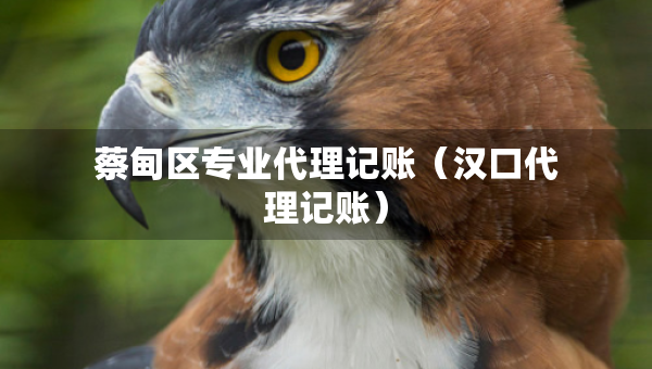 蔡甸區(qū)專(zhuān)業(yè)代理記賬（漢口代理記賬）