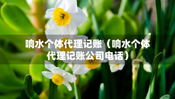 響水個體代理記賬（響水個體代理記賬公司電話）