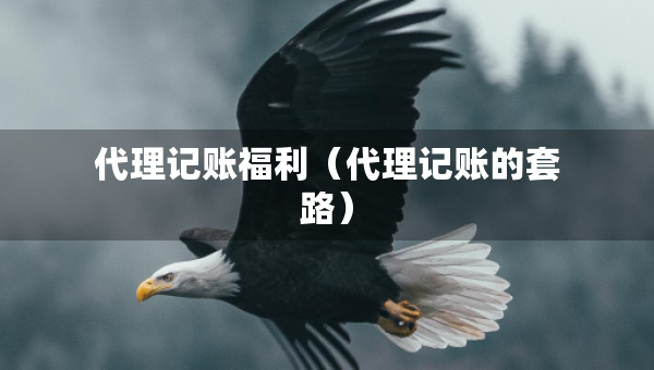 代理記賬福利（代理記賬的套路）