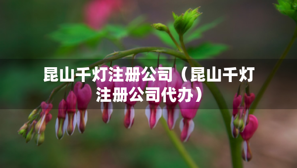 昆山千燈注冊公司（昆山千燈注冊公司代辦）