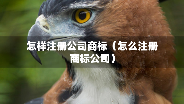 怎樣注冊公司商標（怎么注冊商標公司）