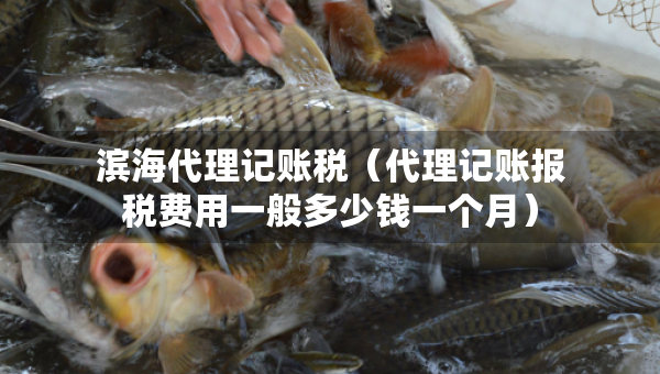 濱海代理記賬稅（代理記賬報(bào)稅費(fèi)用一般多少錢一個(gè)月）