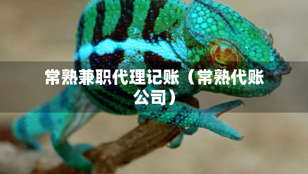 常熟兼職代理記賬（常熟代賬公司）