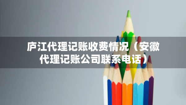 廬江代理記賬收費(fèi)情況（安徽代理記賬公司聯(lián)系電話）