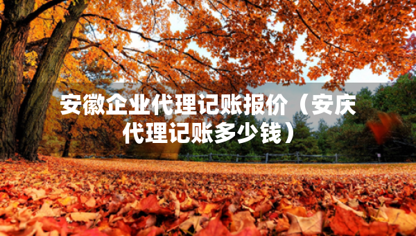 安徽企業(yè)代理記賬報價（安慶代理記賬多少錢）