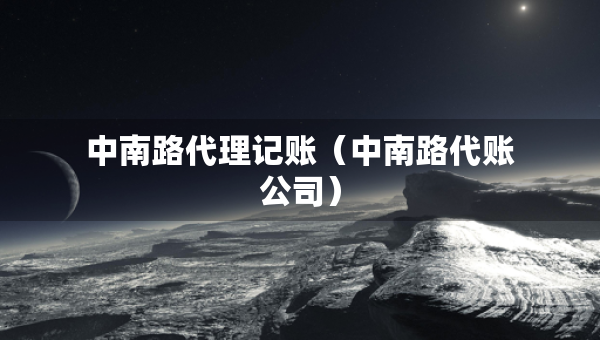 中南路代理記賬（中南路代賬公司）