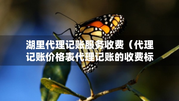 湖里代理記賬服務(wù)收費(fèi)（代理記賬價(jià)格表代理記賬的收費(fèi)標(biāo)準(zhǔn)）