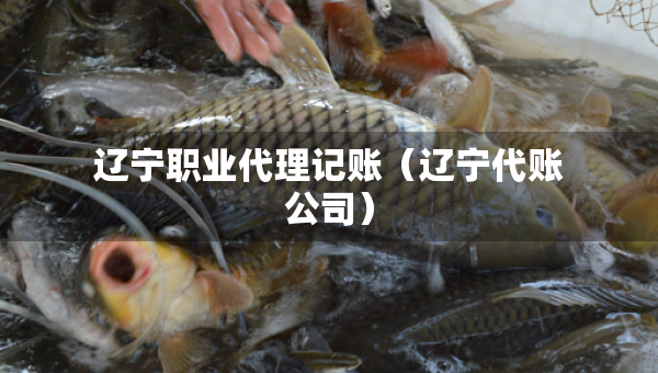 遼寧職業(yè)代理記賬（遼寧代賬公司）