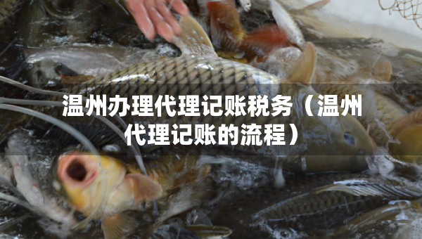 溫州辦理代理記賬稅務(wù)（溫州代理記賬的流程）