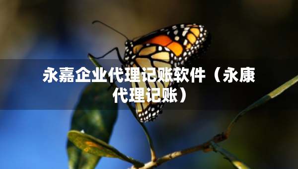 永嘉企業(yè)代理記賬軟件（永康代理記賬）