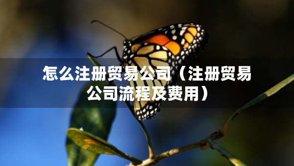 怎么注冊(cè)貿(mào)易公司（注冊(cè)貿(mào)易公司流程及費(fèi)用）