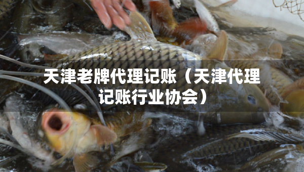 天津老牌代理記賬（天津代理記賬行業(yè)協(xié)會）