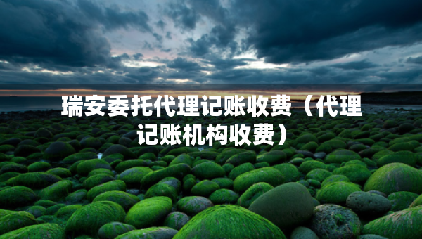 瑞安委托代理記賬收費（代理記賬機構收費）