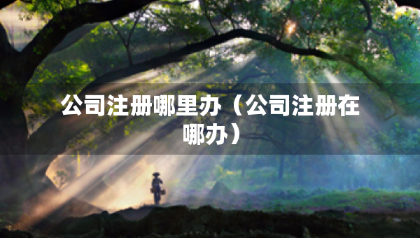 公司注冊(cè)哪里辦（公司注冊(cè)在哪辦）