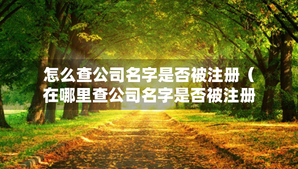 怎么查公司名字是否被注冊（在哪里查公司名字是否被注冊）
