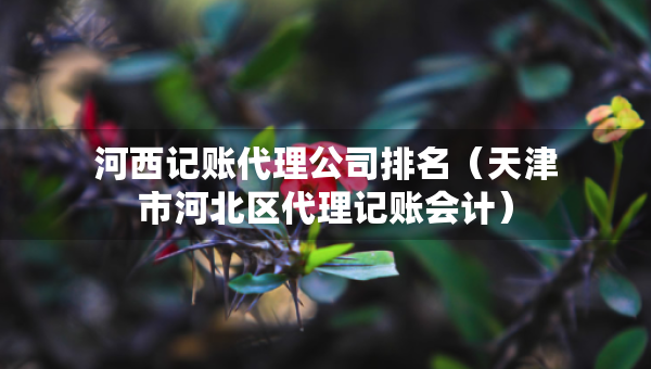 河西記賬代理公司排名（天津市河北區(qū)代理記賬會(huì)計(jì)）