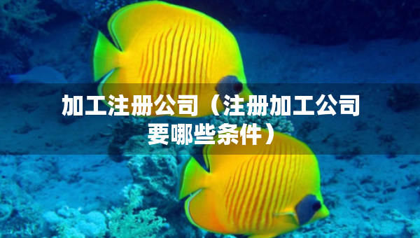 加工注冊公司（注冊加工公司要哪些條件）