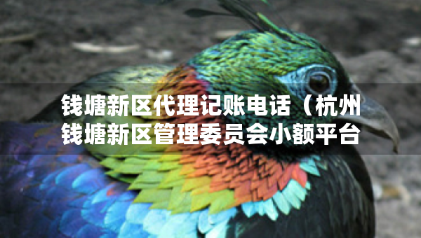 錢塘新區(qū)代理記賬電話（杭州錢塘新區(qū)管理委員會(huì)小額平臺(tái)）