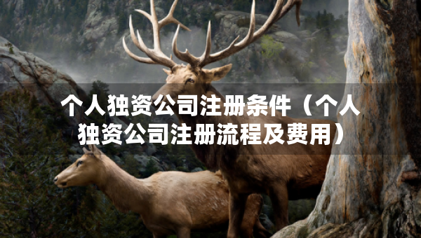 個(gè)人獨(dú)資公司注冊條件（個(gè)人獨(dú)資公司注冊流程及費(fèi)用）