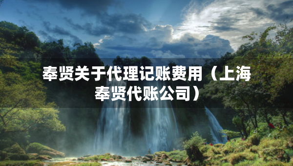 奉賢關于代理記賬費用（上海奉賢代賬公司）