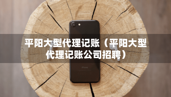 平陽大型代理記賬（平陽大型代理記賬公司招聘）