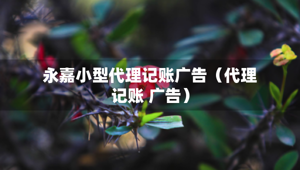 永嘉小型代理記賬廣告（代理記賬 廣告）