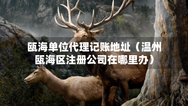 甌海單位代理記賬地址（溫州甌海區(qū)注冊公司在哪里辦）