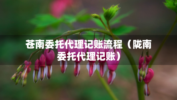 蒼南委托代理記賬流程（隴南委托代理記賬）