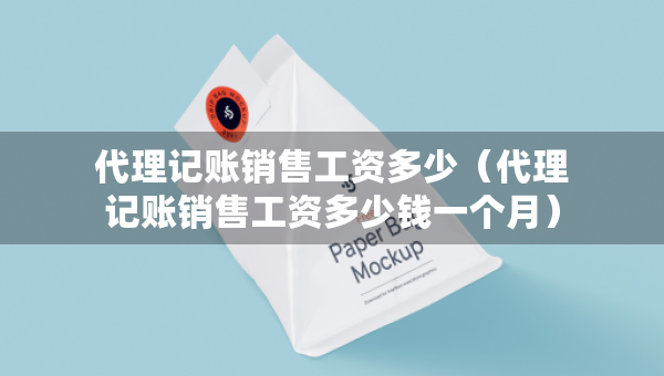 代理記賬銷售工資多少（代理記賬銷售工資多少錢一個(gè)月）