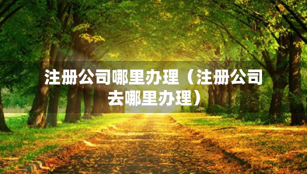 注冊(cè)公司哪里辦理（注冊(cè)公司去哪里辦理）