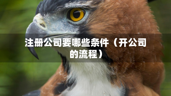 注冊(cè)公司要哪些條件（開(kāi)公司的流程）