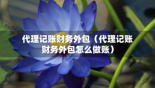 代理記賬財務(wù)外包（代理記賬財務(wù)外包怎么做賬）