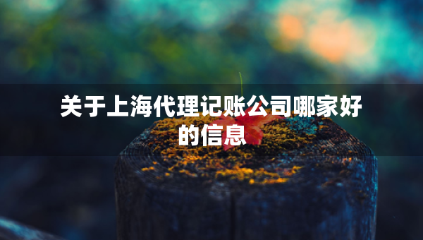 關(guān)于上海代理記賬公司哪家好的信息
