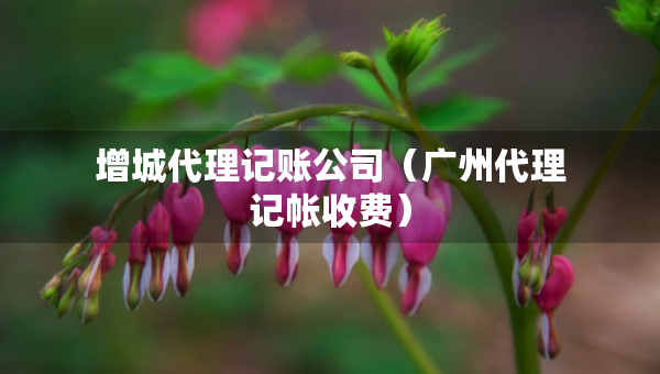 增城代理記賬公司（廣州代理記帳收費）