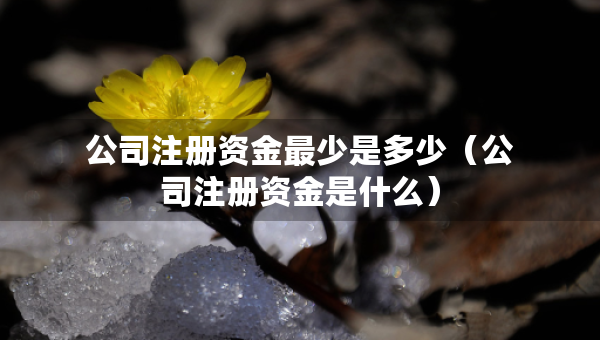 公司注冊資金最少是多少（公司注冊資金是什么）